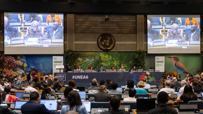 Global Major Groups and Stakeholders Forum UNEA6
